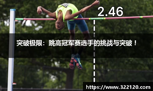 必博bibo