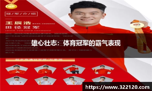 必博bibo